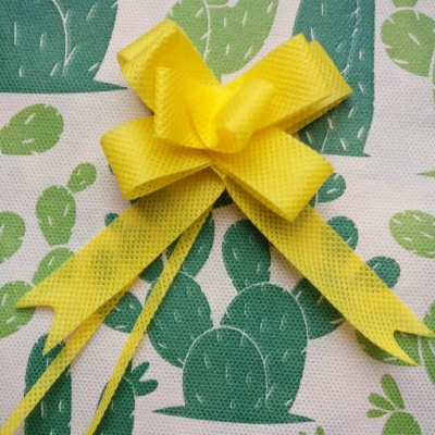 ECO MOÑO DE TELA X 50 U. N°40 SURTIDOS